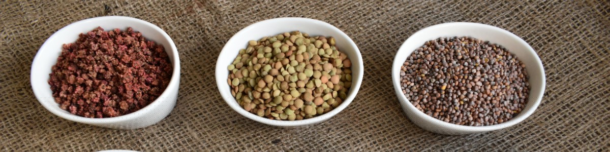 semillas de plantas semillas de hortalizas semillas de flores