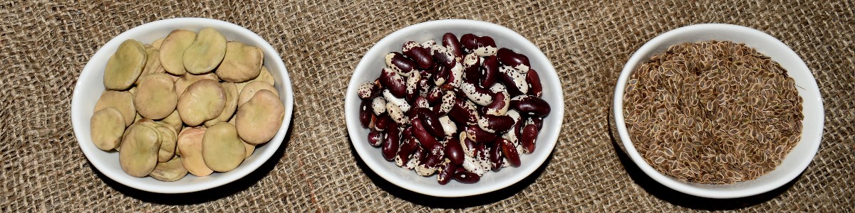 semillas de plantas semillas de hortalizas semillas de flores