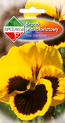 PLANTICO semillas de plantas semillas de hortalizas semillas de flores