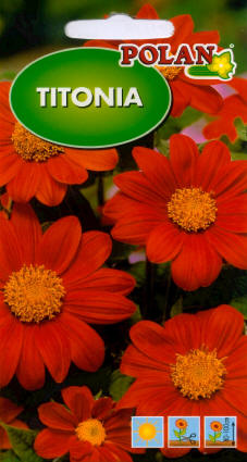 PLANTICO semillas de plantas semillas de hortalizas semillas de flores