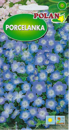 PLANTICO semillas de plantas semillas de hortalizas semillas de flores