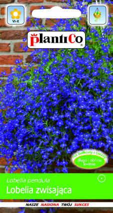 PLANTICO semillas de plantas semillas de hortalizas semillas de flores