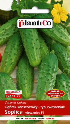 PLANTICO semillas de plantas semillas de hortalizas semillas de flores