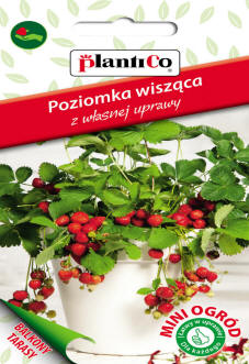 PLANTICO semillas de plantas semillas de hortalizas semillas de flores