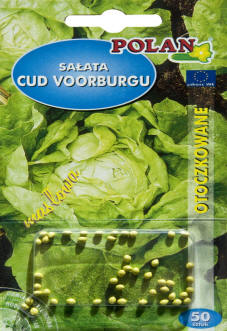 PLANTICO semillas de plantas semillas de hortalizas semillas de flores